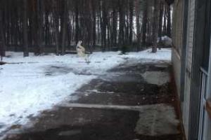 В Черкассах произошел взрыв возле дома главы городы