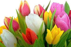 Украина отмечает Международный женский день