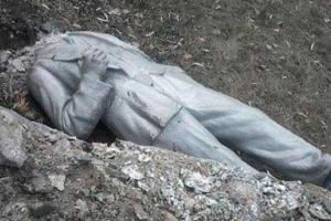 В Тошковке на Луганщине упал Ленин