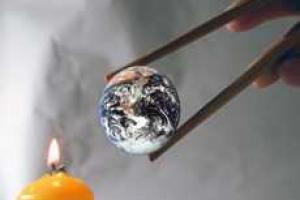 Глобальное потепление повлечет гибель 97% обитателей Арктики