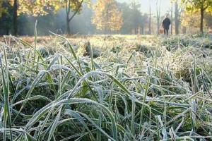 Укргидрометцентр прогнозирует порывы ветра и заморозки