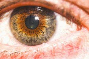 Ученые доказали, что еда изменит цвет ваших глаз за 60 дней