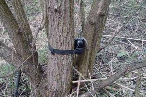 В Донецке заминированы парковые зоны