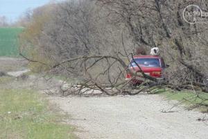 На уборку мариупольских кладбищ брошены все силы города