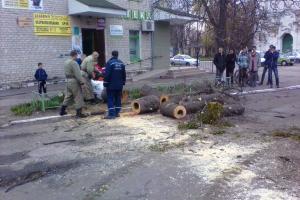 На Киевщине из-за непогоды дерево упало на автомобиль