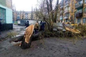 На Днепропетровщине спасатели ликвидировали последствия непогоды