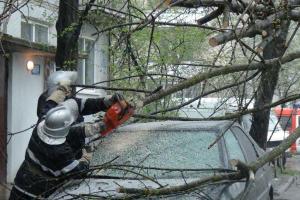 На Прикарпатье из-за непогоды пострадали люди