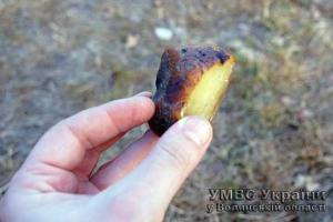 На Волыни задержали группу людей, которые добывали янтарь-сырец