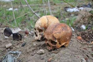 В Сумах на воротах автокооператива циничный хулиган повесил два человеческих черепа в солнцезащитных очках