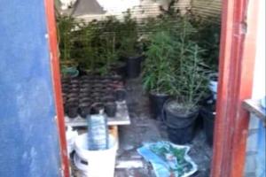 В Чугуеве мужчина устроил у себя дома нарколабораторию