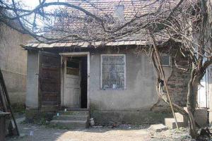 На Закарпатье сын убил родную мать
