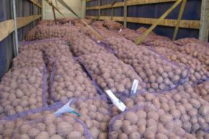 На Луганщине бесплатно раздали картофеля на полмиллиона гривен