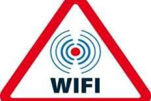 Wi-Fi плохо влияет на людей и растения