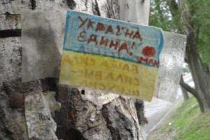 В Луганске дети развесили украинскую символику
