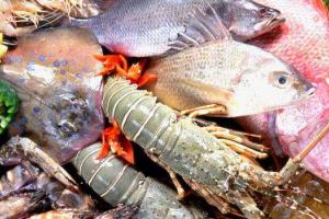 Ученые рекомендуют злоупотреблять морепродуктами