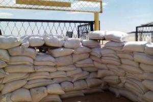 Батальон «Донбасс» строит оборонительную линию под Мариуполем