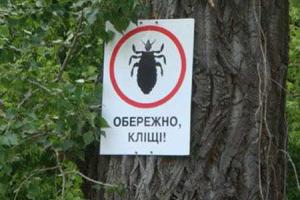 Осторожно, клещи!