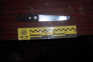 Житель Харьковщины чуть не зарезал свою жену