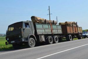 На Ровенщине водитель перевозил бревна без документов