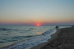 В Крыму за год оккупации исчезло 87 пляжей