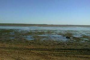 В Мариуполе море отошло от берега