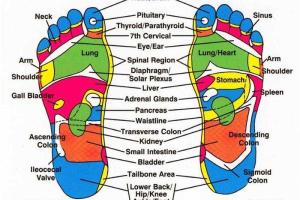 Лук в носках может изменить вашу жизнь