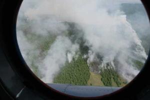 Россия снова в огне: в Туве из-за лесных пожаров объявлена чрезвычайная ситуация