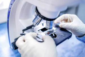 Японские ученые научились выявлять рак на ранней стадии за 3 минуты