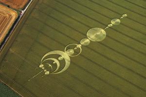 В России появились круги на полях