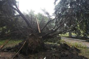 Ураган в Луганске принес масштабные разрушения