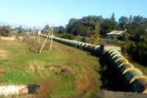 Вблизи Горловки ВСУ и боевики договорились о временном «перемирии» 