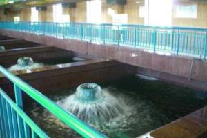 В Луганске будут давать воду по графику