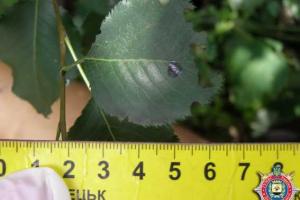 В Константиновке мужчина зарезал своего знакомого