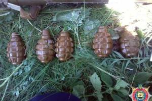 2 схрона с крупной партией оружия и боеприпасов нашли на Донетчине 