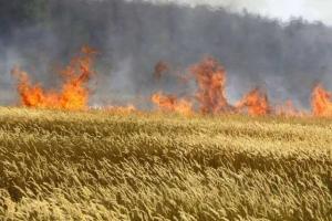 Одесская область: спасены 70 гектаров пшеницы