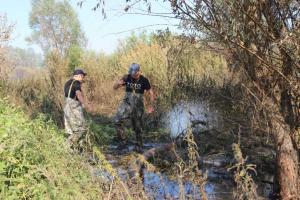 На Киевщине продолжается ликвидация пожаров в местах залежей торфа