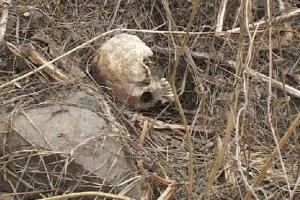 Вблизи автодороги Новоайдар – Счастье обнаружен скелетированный труп