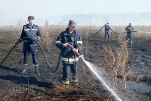 В Зоне отчуждения продолжается тушение горящих торфяников