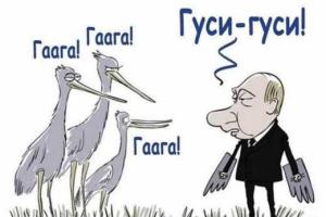 Подготовлены документы в Гаагу для обвинения руководства России в преступлениях против человечности