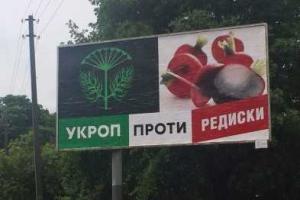 На местных выборах в Украине будет гречка и титушки, - журналист 
