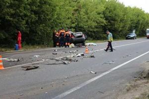 Под Винницей кот стал причиной гибели двух человек