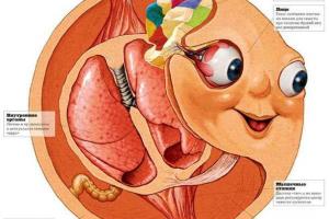 В России показали "расчлененного" Колобка 