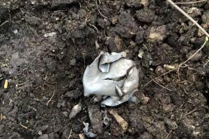 На Луганщине между силами ВСУ и боевиками "ЛНР" произошло боевое столкновение