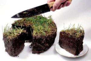 Участники АТО уже получили 29,5 тыс. земельных участков