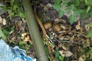 В Марьинке обнаружили тайник с оружием