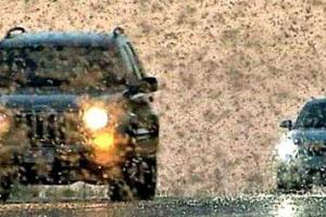 Россию опять атаковали полчища саранчи: в трех регионах ввели режим ЧС