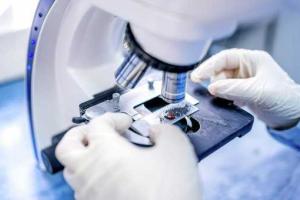 У берегов Украины произошла утечка растительного масла