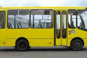 По Мариуполю гоняет маршрутка с неадекватным водителем за рулем