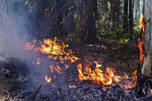 В Зоне отчуждения продолжается тушение локализованных пожаров