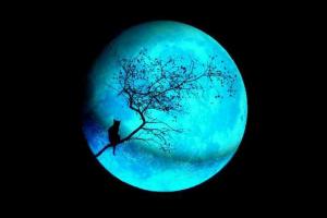 Сегодня ночью жители Земли увидят редкую «голубую Луну»